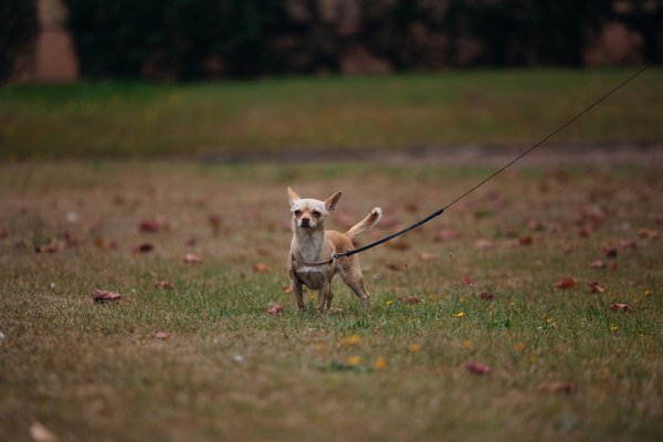 What Are the Most Innovative Approaches to Improving the UK's Healthcare System?